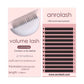 Factory Wholesale 12Rows Individual lashes 0.03 C/CC/D Velvet Eyelash Extensions